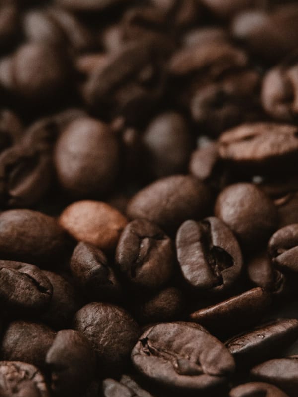 Café: como escolher o grão certo pro seu método de preparo